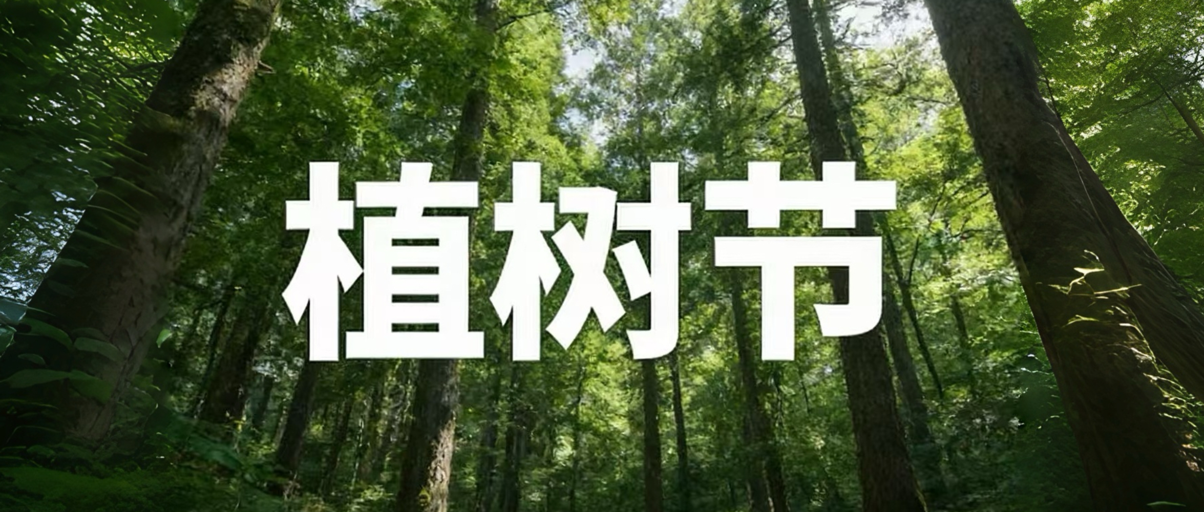 植树节 | 种下绿色希望，选用绿色建材，守护美好生活