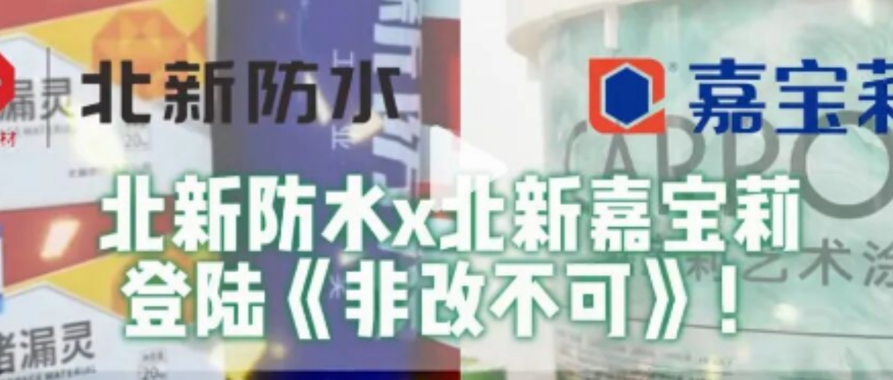 纸短情长 | 张文民：一位北新老将的“敢”与“担”