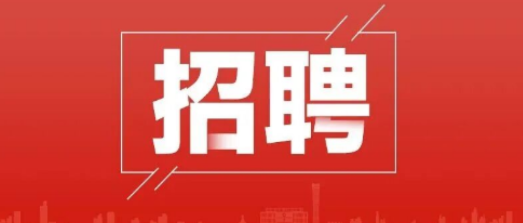 北新建材及成员企业纪委干部招聘公告
